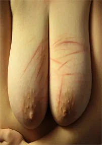 Cover PusatMovie 21 Cover PusatMovie 21